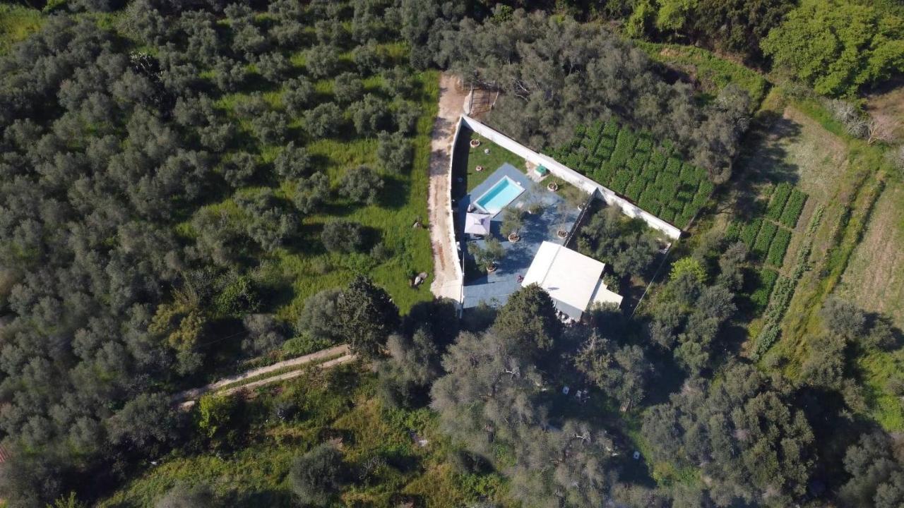 Villa Gardiki For2 Halikounas エクステリア 写真